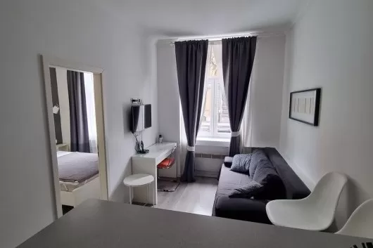 Hebrangova, Zentrum, 1-Zimmer-Wohnung, 28 m² zu vermieten