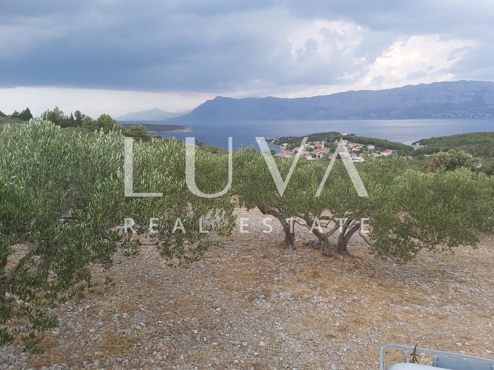 Brač, Povlja, Grundstück mit Olivenhain und Meerblick, 3839 m2