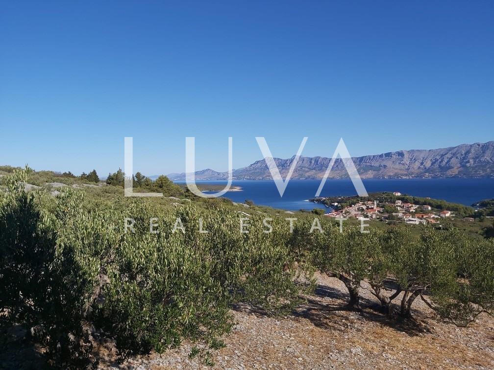 Brač, Povlja, Grundstück mit Olivenhain und Meerblick, 3839 m2