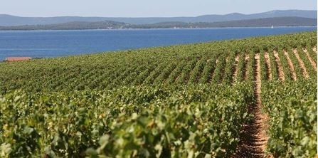 Tisno, Murter, Sommerresidenz zum Verkauf in Alleinlage, Erste Reihe zum Meer