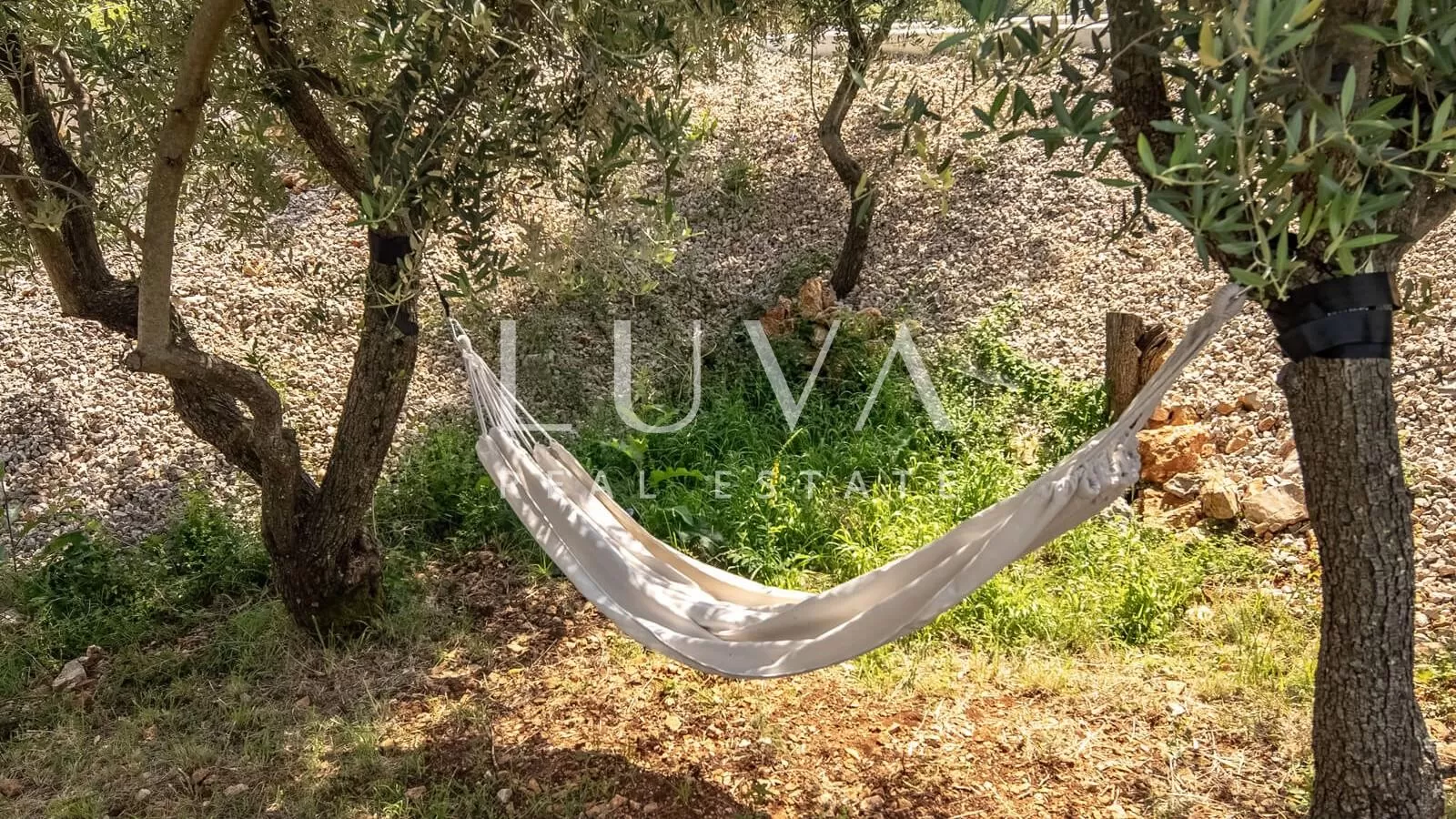 Vrbnik, Krk, vila s bazenom za dugoročni najam