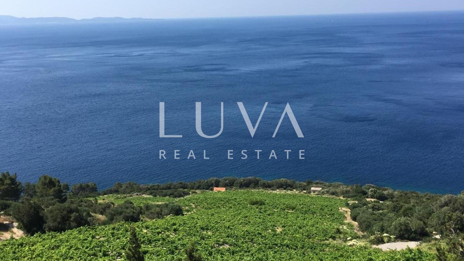 Pelješac, Potomje, 50,000 m² land with vineyard for sale