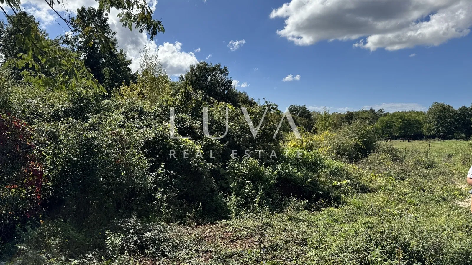 Istra, Poreč, građevinsko zemljište 926m2 na prodaju