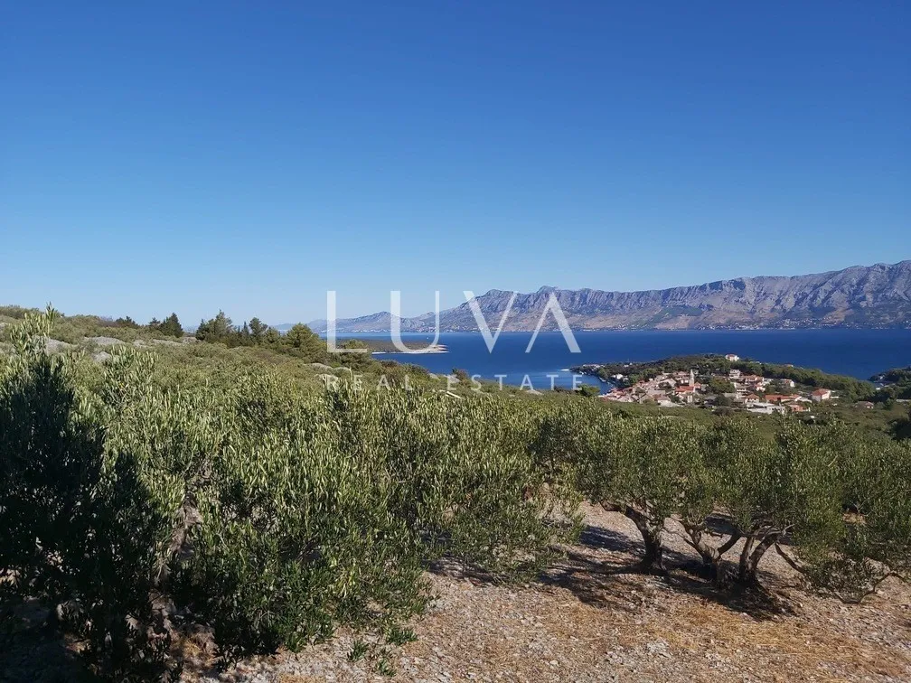 Brač, Povlja, land with olive grove and sea view, 3839 m2