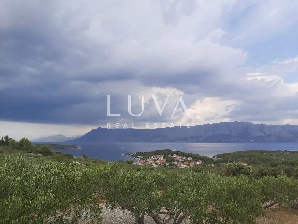Brač, Povlja, land with olive grove and sea view, 3839 m2
