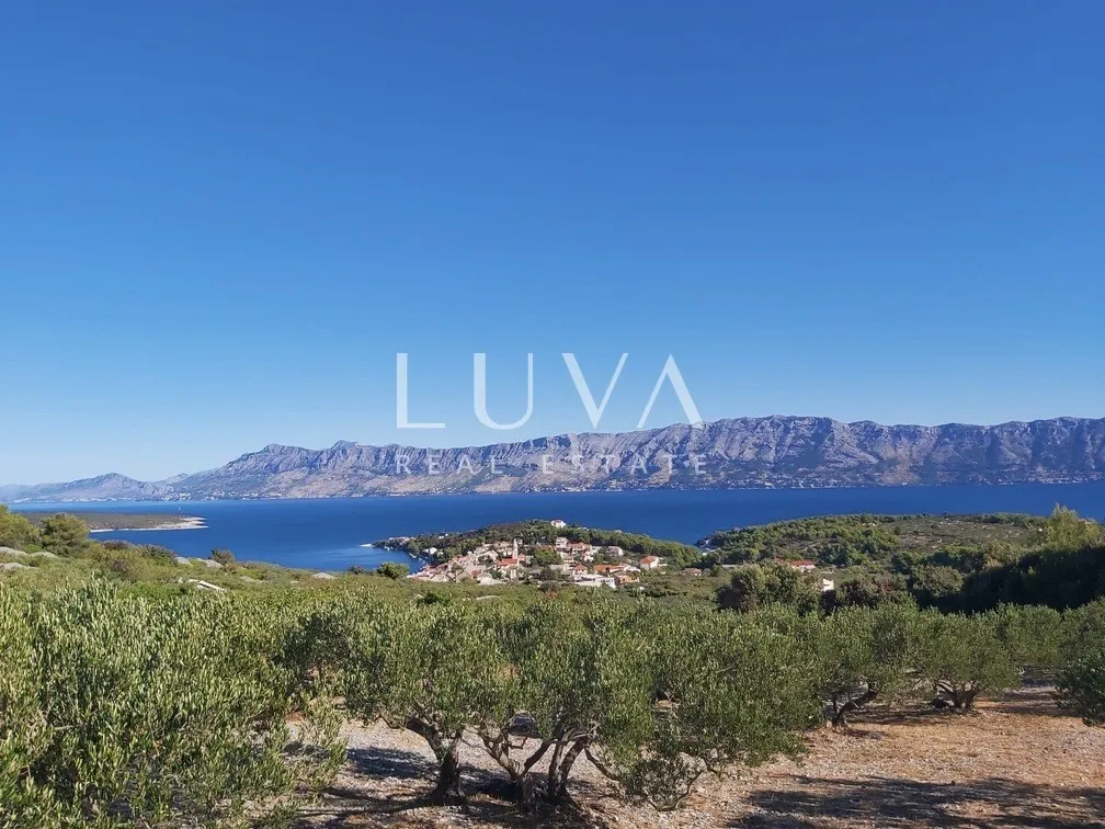 Brač, Povlja, land with olive grove and sea view, 3839 m2