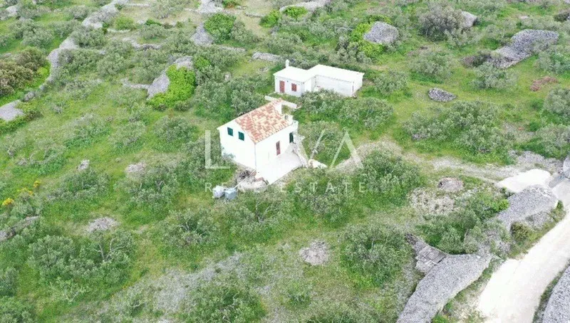 Brač, Povlja, land with olive grove and sea view, 3839 m2
