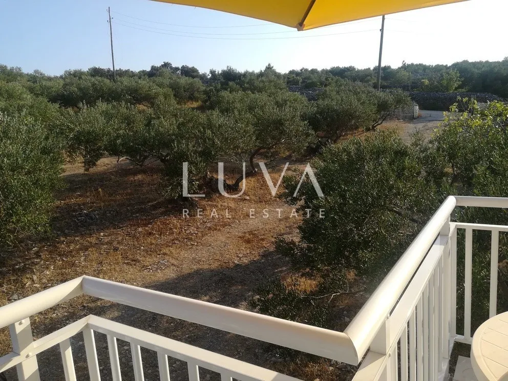 Brač, Povlja, land with olive grove and sea view, 3839 m2