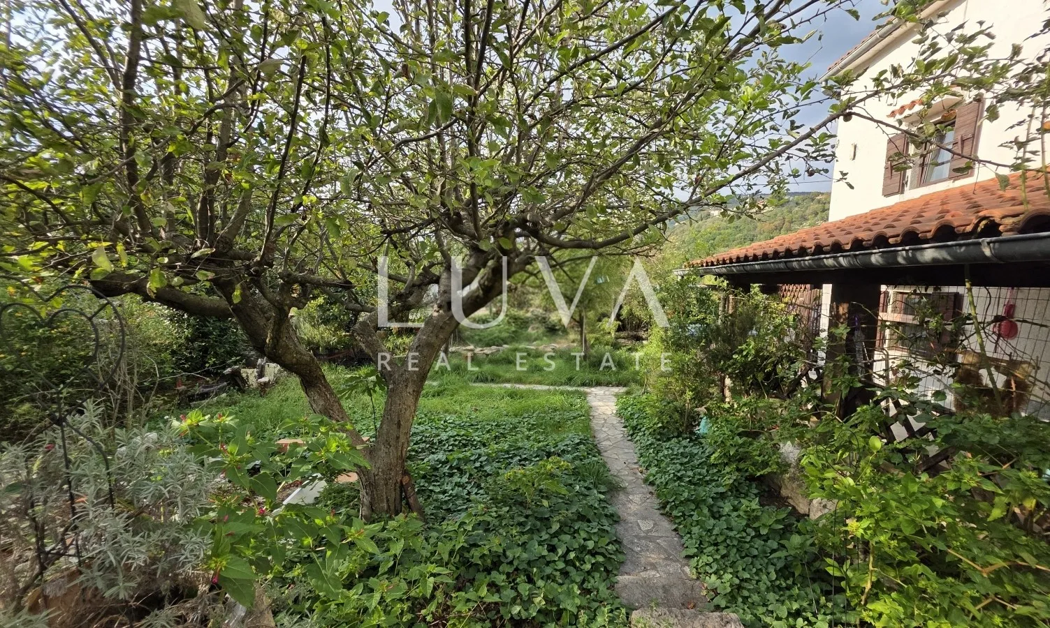 Istria, Roč, stone house in a peaceful village surrounded by nature