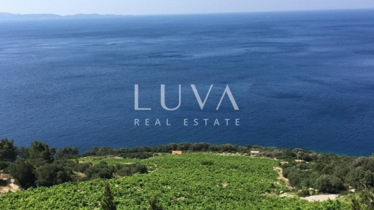 Pelješac, Potomje, zemljište 50.000 m2 s vinogradom na prodaju