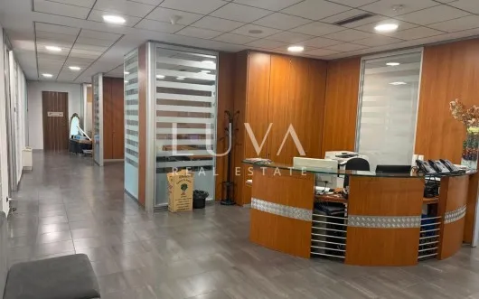 Zagreb, Slavonska avenue, office space 530m2, rent